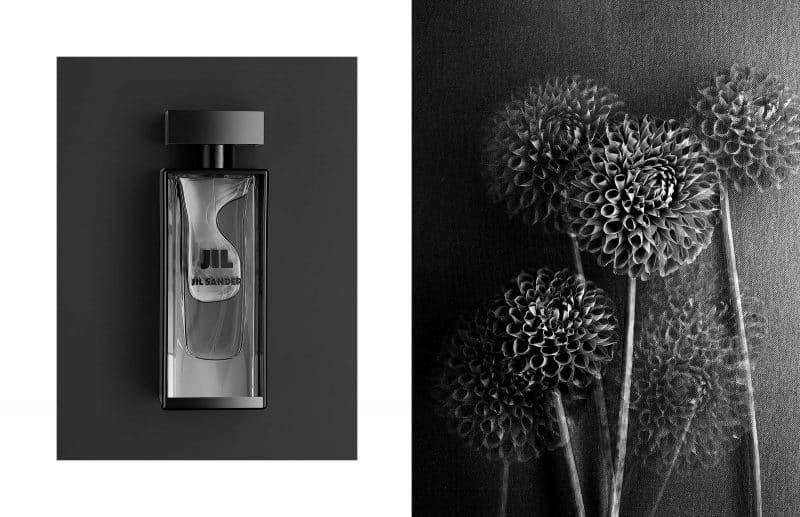 Jil-Sander Parfumflasche auf schwarzem Untergrund. Blumen. Dahlien vor schwarzem Hintergrund